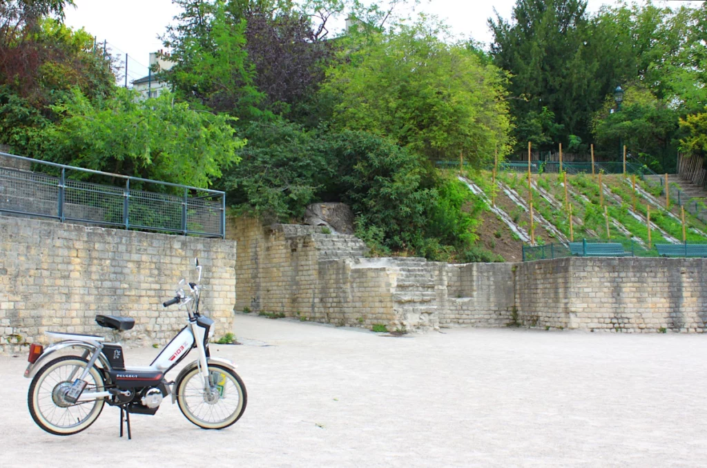 Ruines des Arènes de Lutèce avec gradins en pierre lors d'une visite guidée historique de Paris